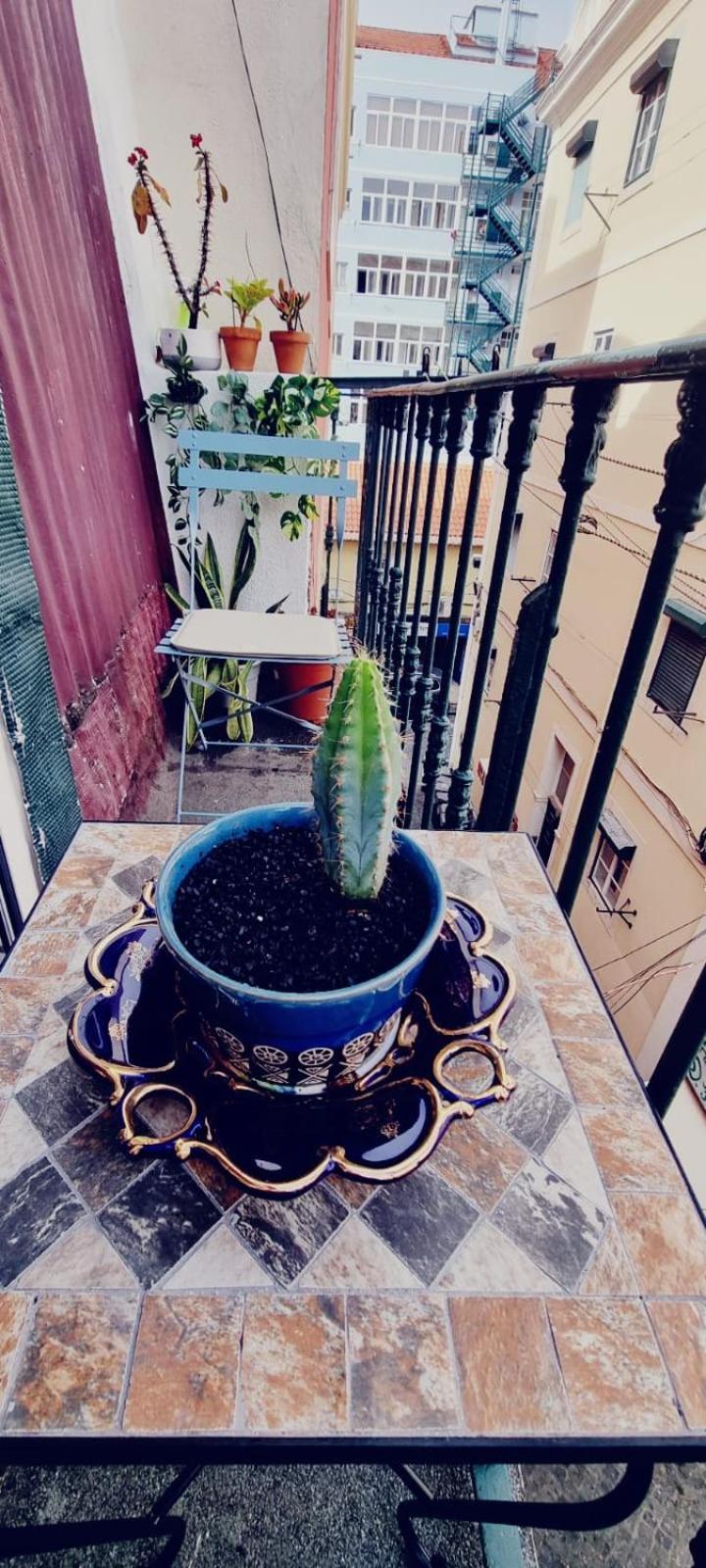 Charming Central Apartment To Rent Lisbon Luaran gambar