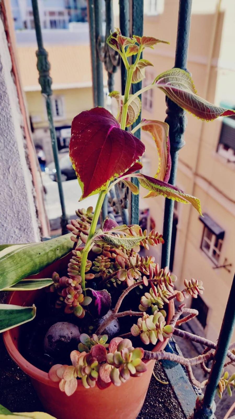 Charming Central Apartment To Rent Lisbon Luaran gambar